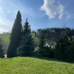 Snezenka